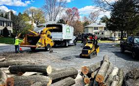 Seasonal Cleanup (Spring/Fall) in Dalton, PA